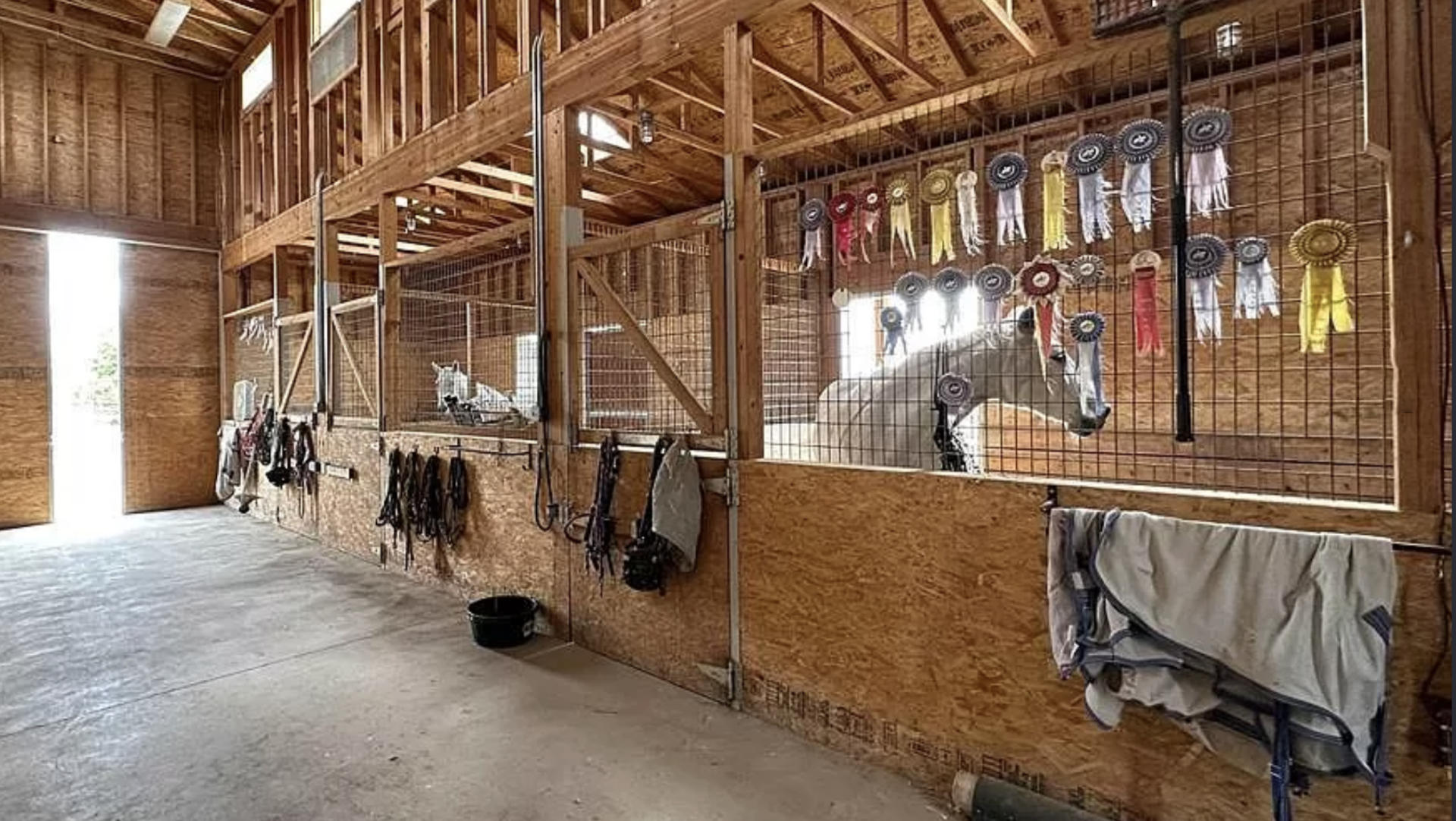 Saddle Up – Equestrian Properties For Sale in Western Colorado